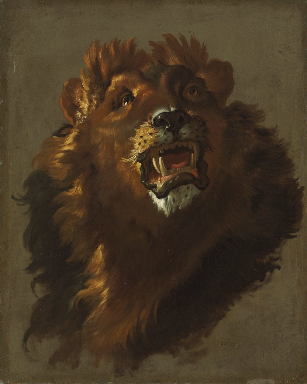 Lion, 1750s - Giuseppe Baldrighi