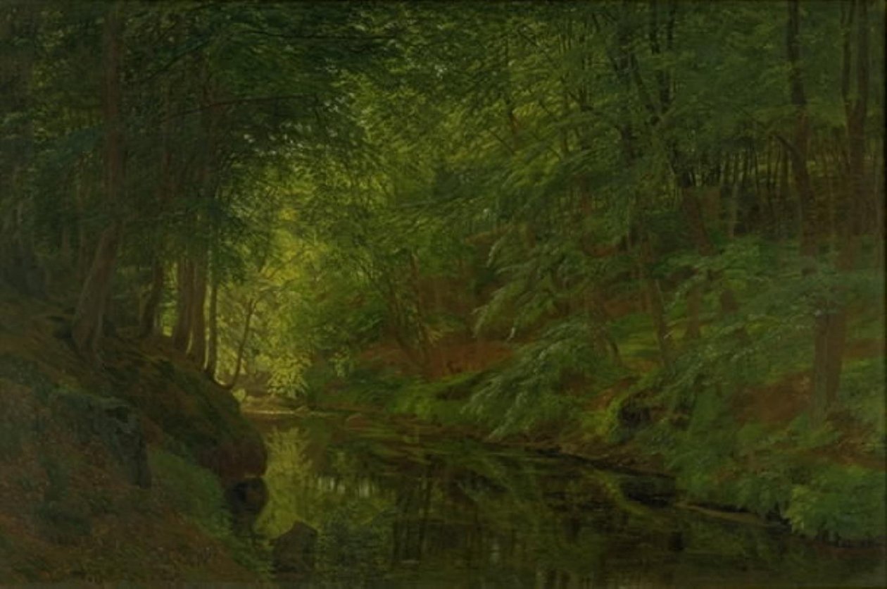 Un ruisseau dans le bois de Sæbygaard, Vendsyssel, Jutland - Godtfred Rump