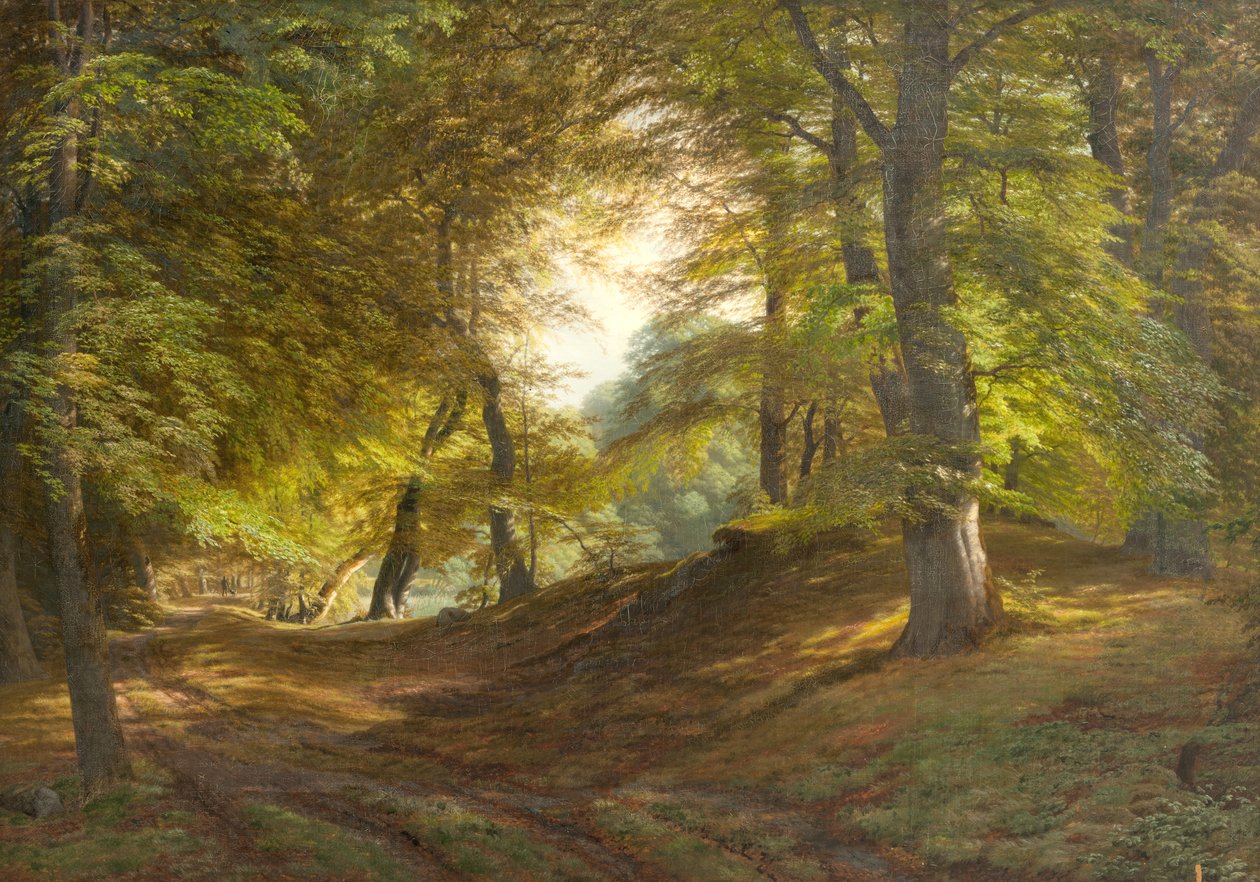 Bois près du château de Frederiksborg - Godtfred Rump