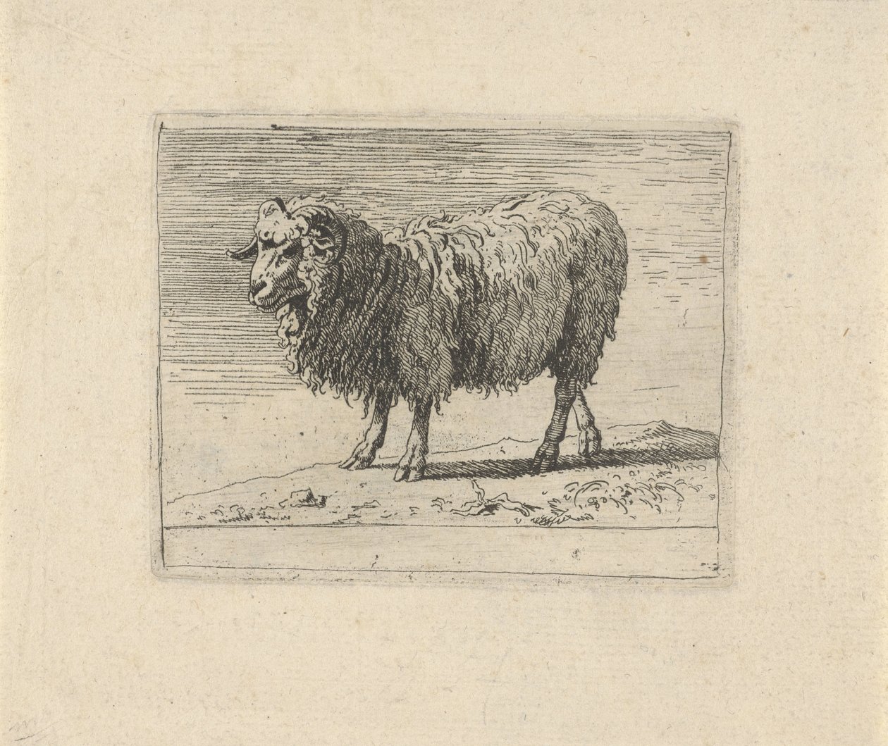Bélier (Diverse animaux) - Govert van der Leeuw