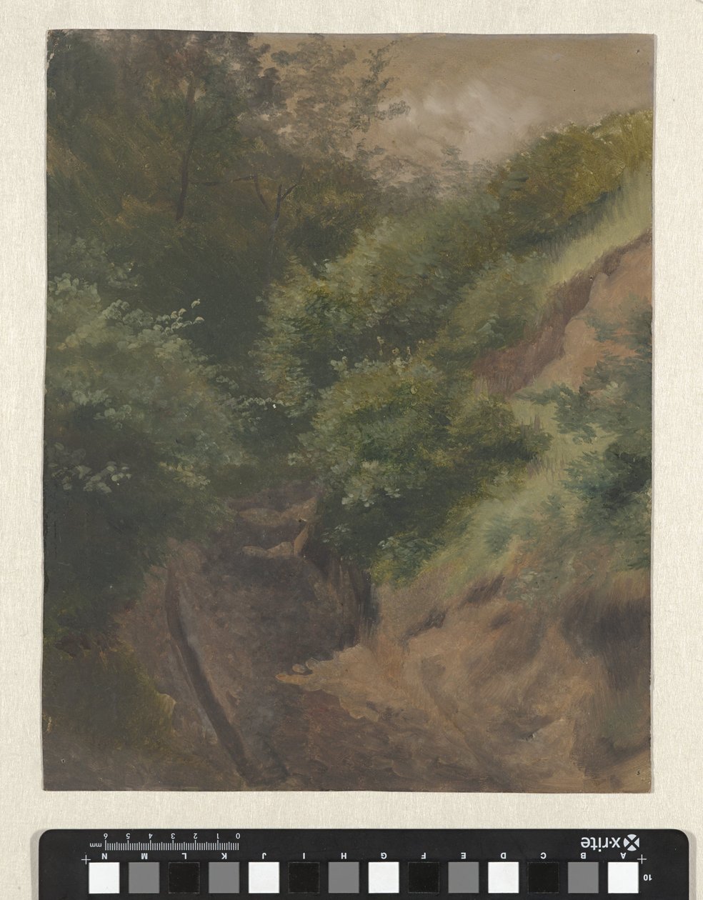Chemin de dune - Guillaume Anne van der Brugghen