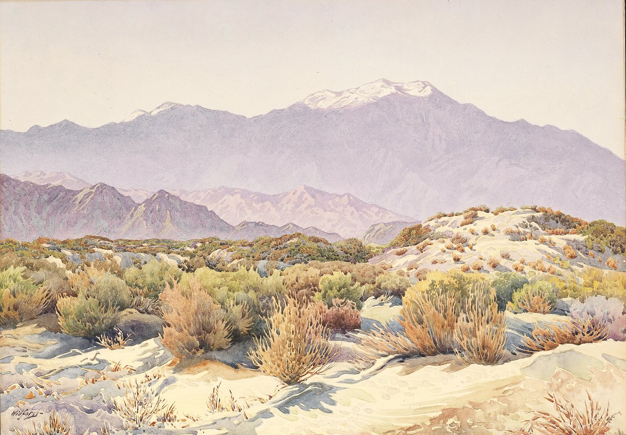 San Jacinto - Gunnar Widforss