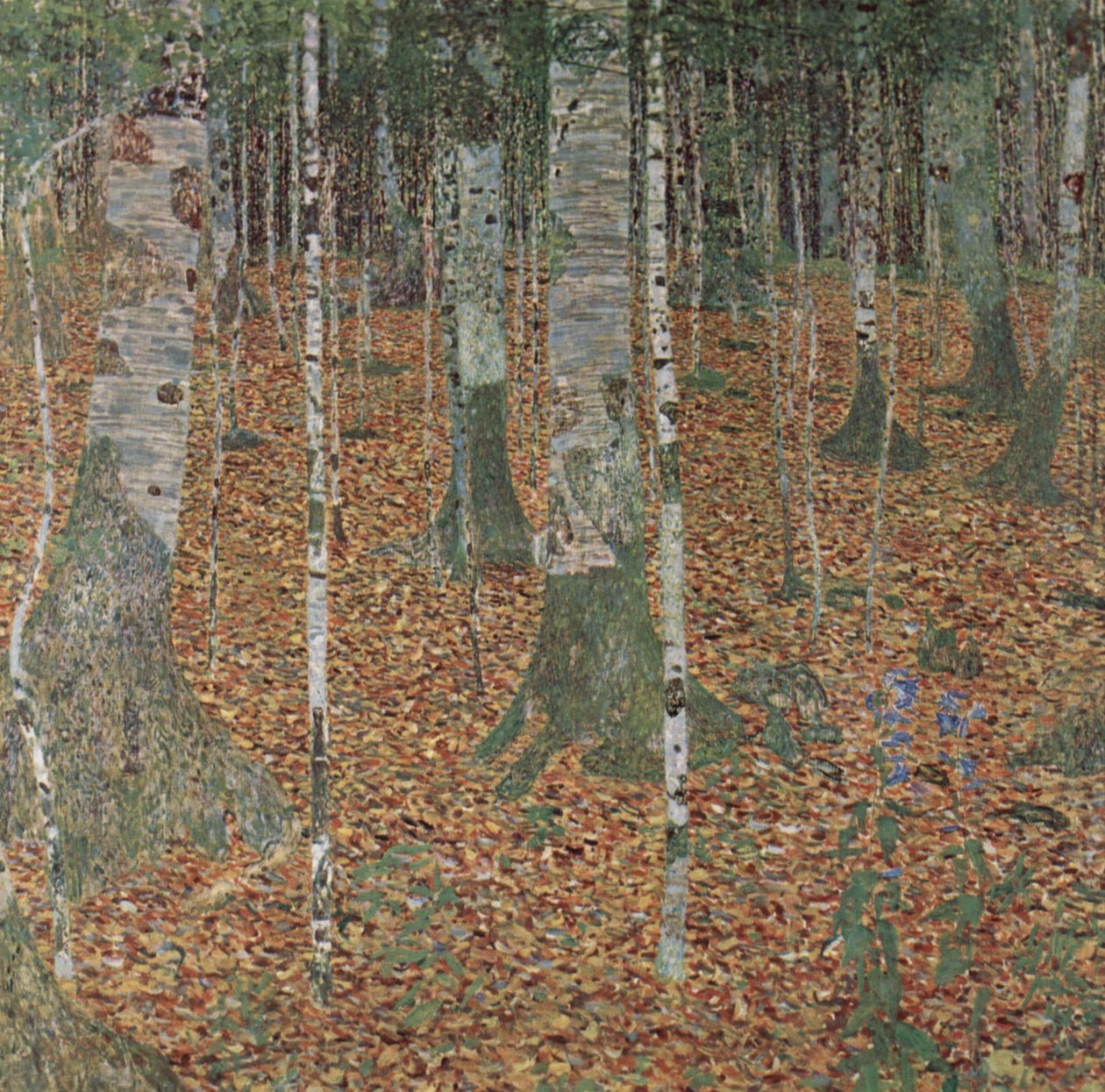 Forêt de bouleaux - Gustav Klimt