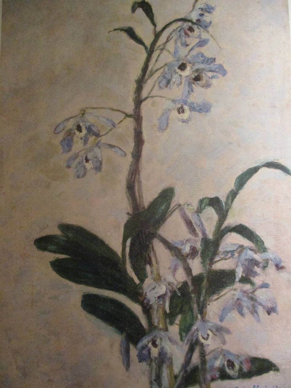 Les Orchidées - Gustave Caillebotte