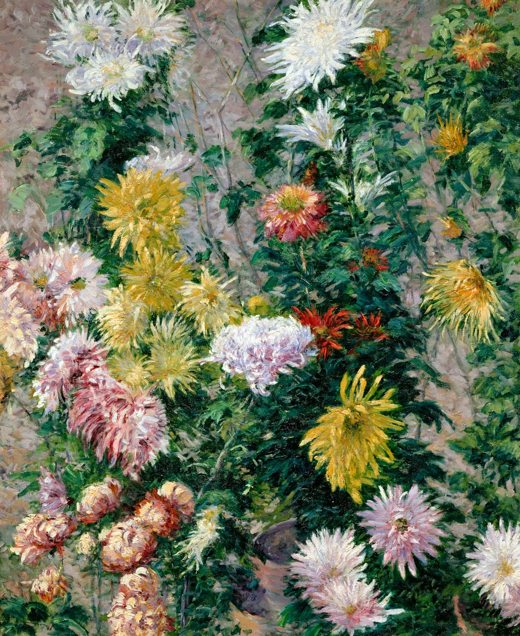 Chrysanthèmes blancs et jaunes, 1893 - Gustave Caillebotte