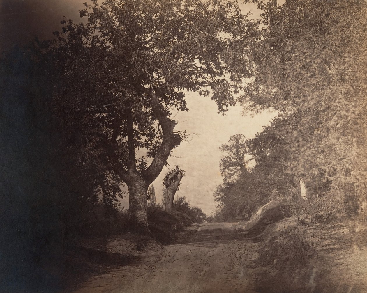 Fontainebleau, chemin sablonneux montant - Gustave Le Gray