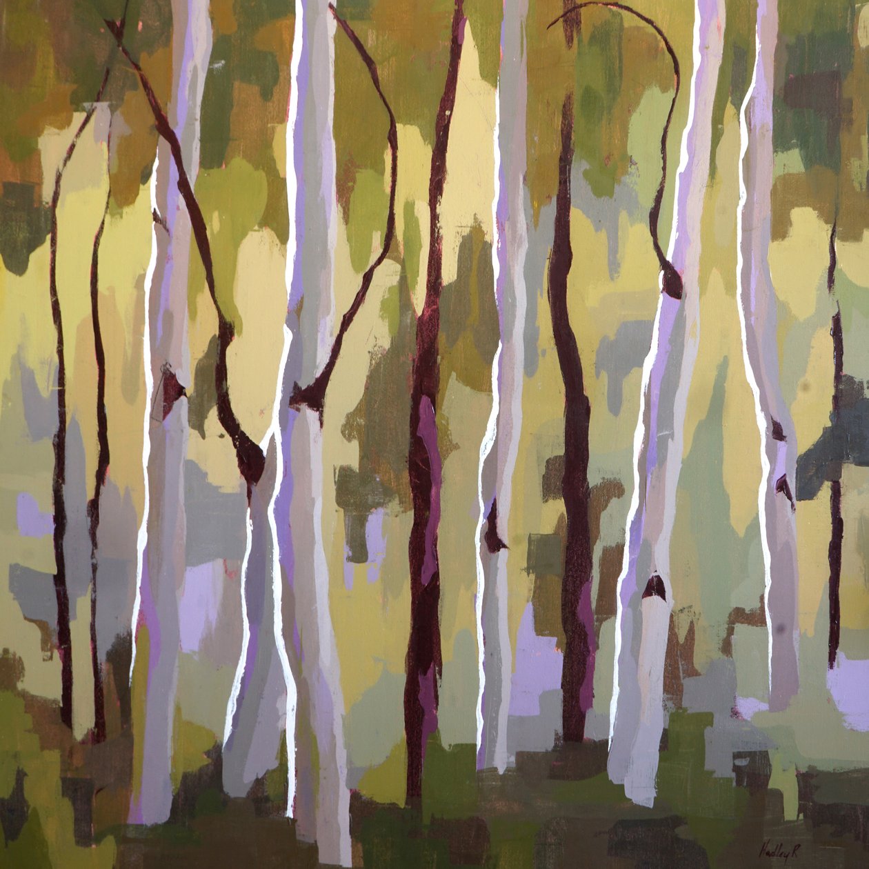 Contre-jour - Hadley Rampton