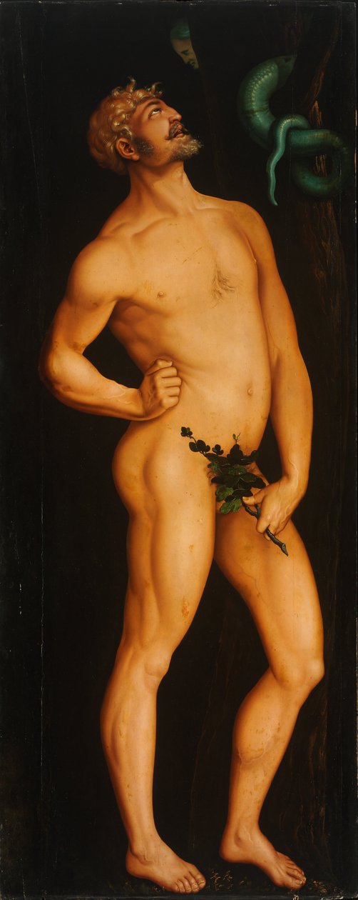 Adam - Hans Baldung
