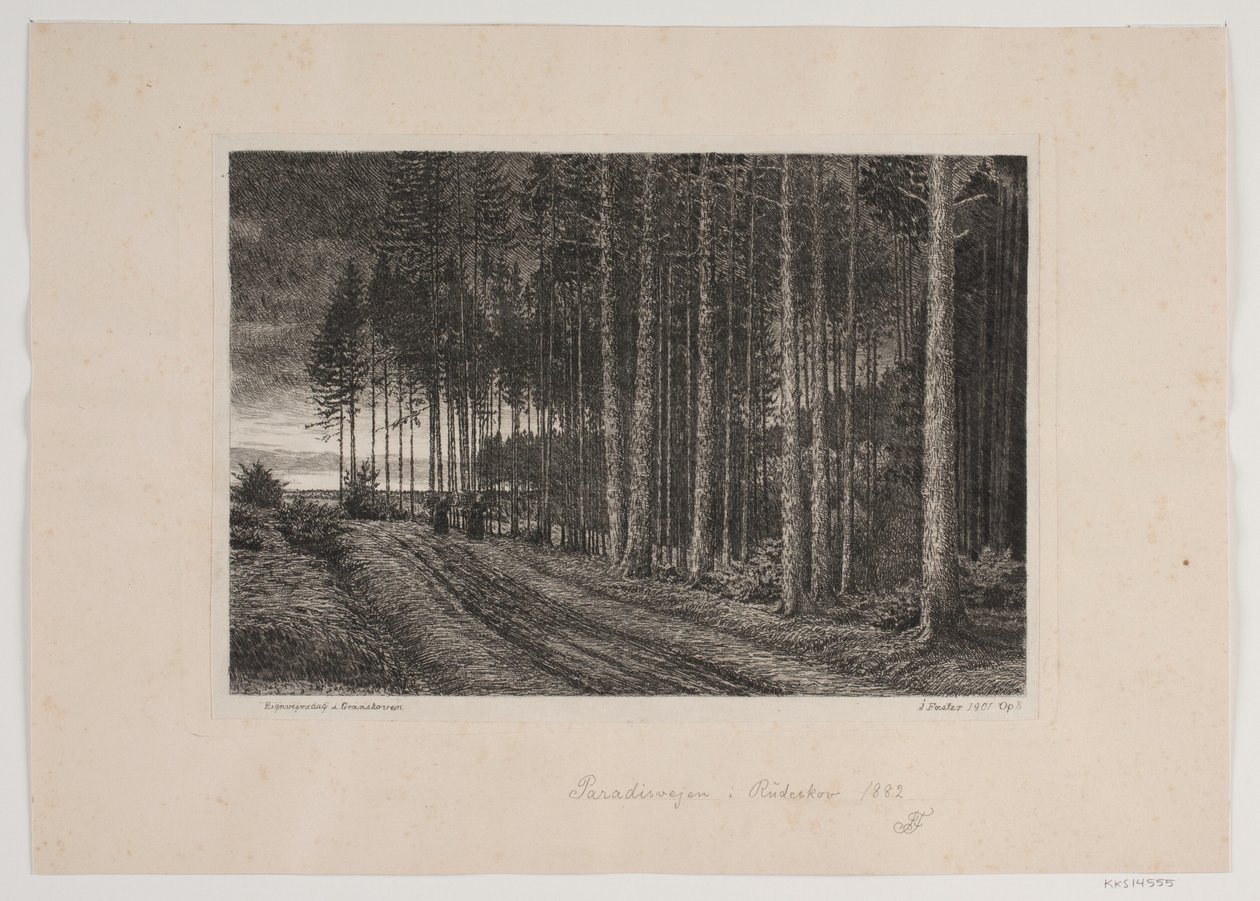 Jour de pluie dans la forêt de sapins - Hans Julius Fæster