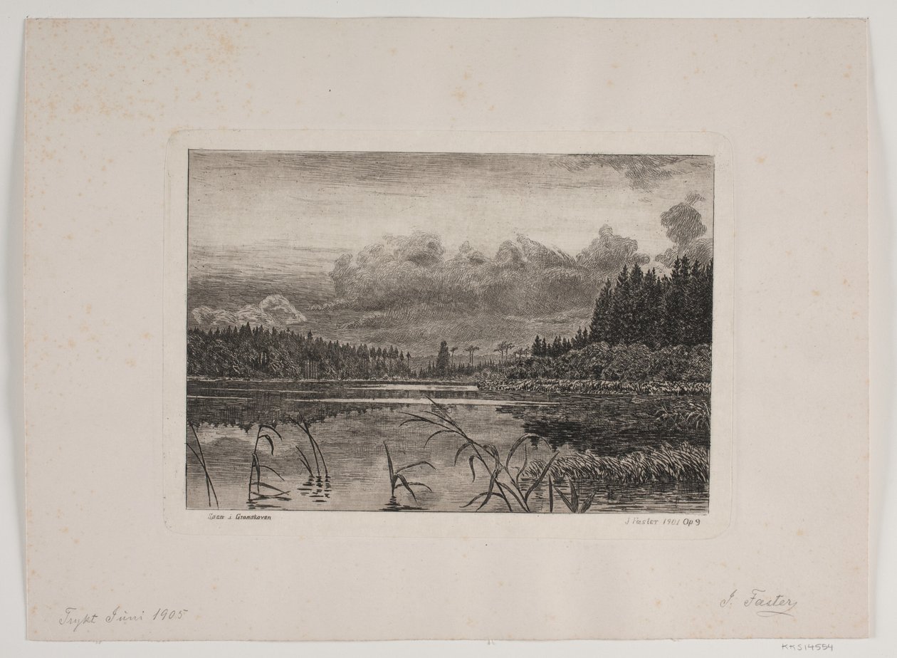 Le Lac dans la Forêt de Sapins - Hans Julius Fæster