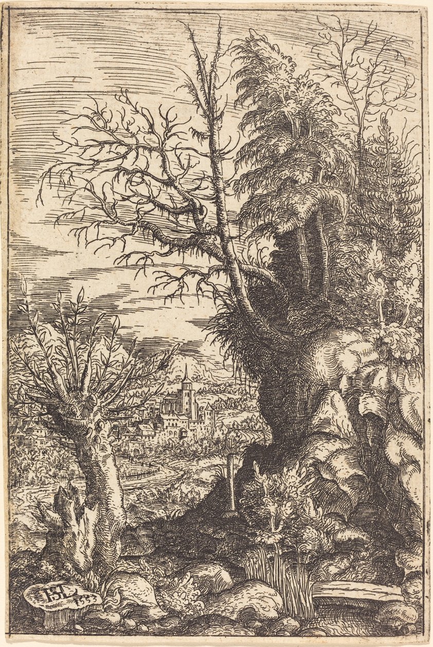 Paysage avec un saule, 1553 - Hans Sebald Lautensack