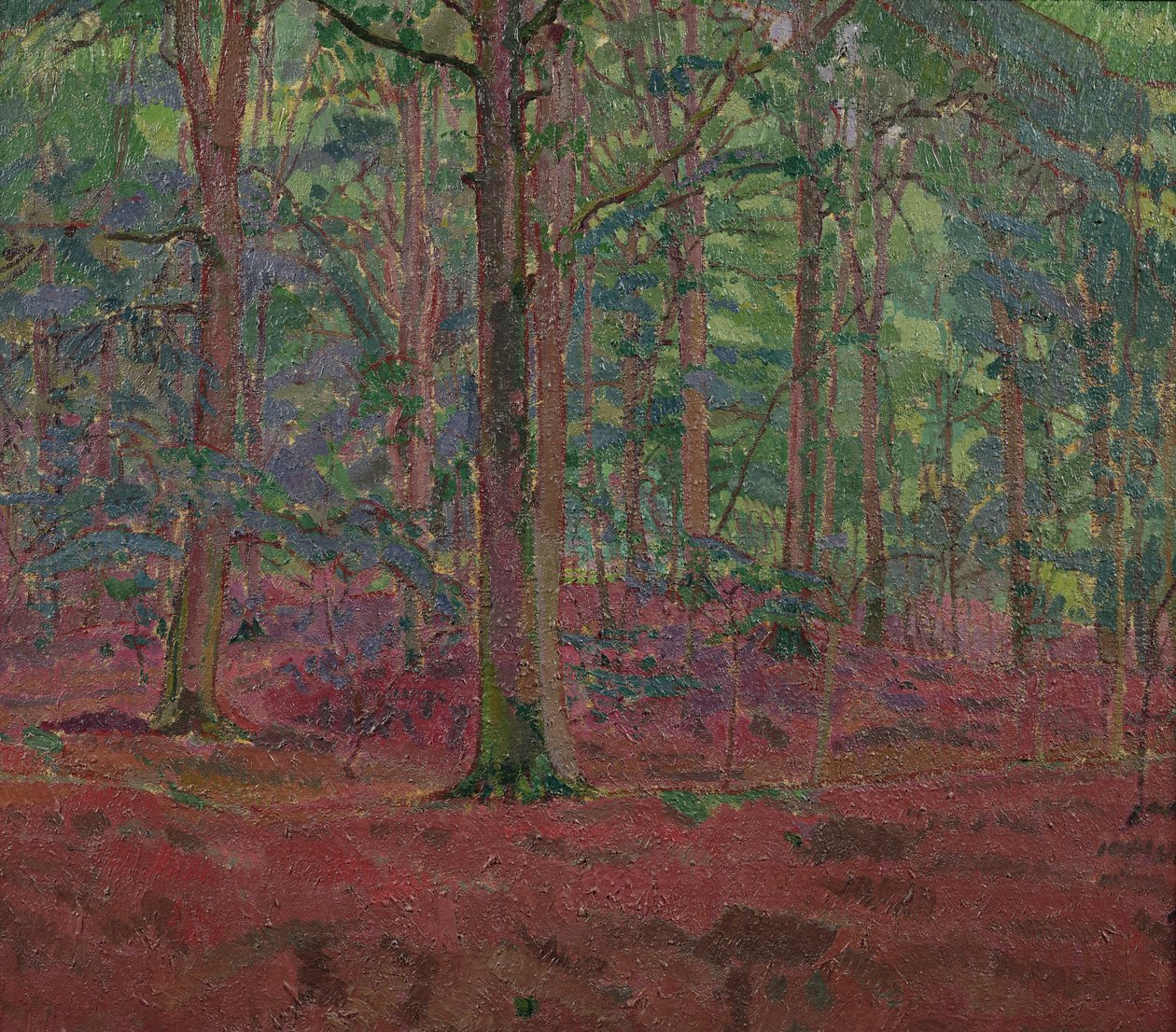 Un bois de hêtres - Harold Gilman