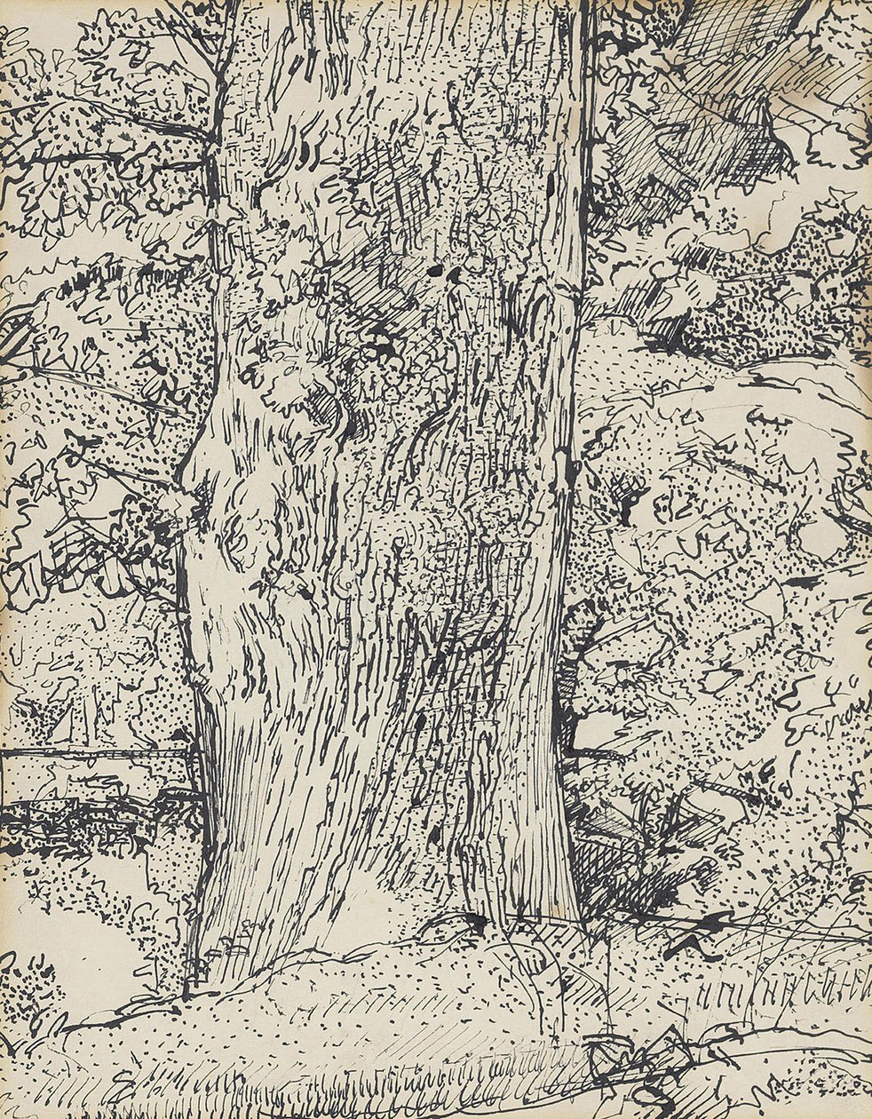 Arbre, 1916 - Harold Gilman