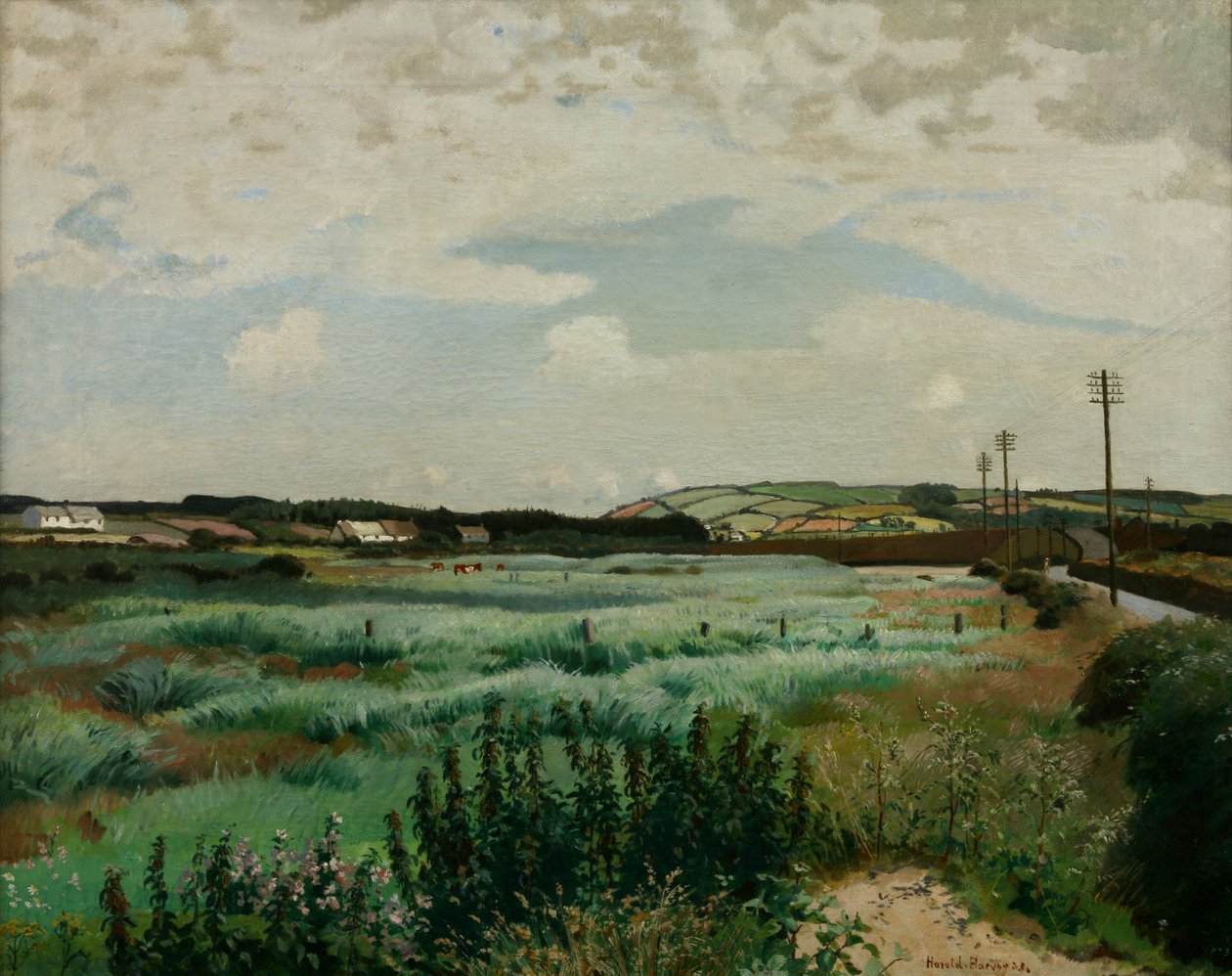 Marais de Marazion - Harold Harvey