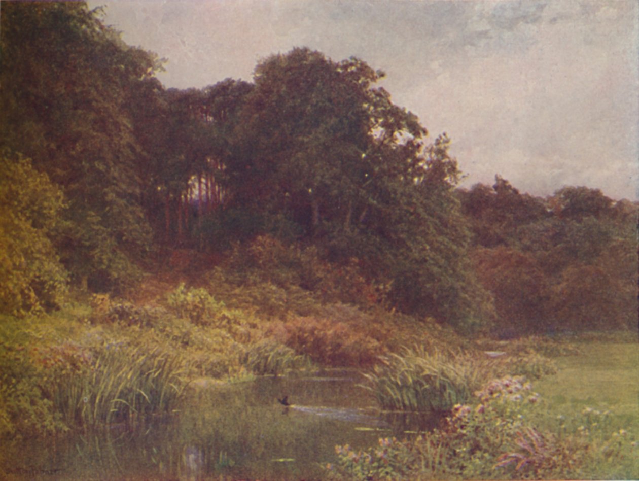 Un ruisseau, 1910 - Harold Sutton Palmer