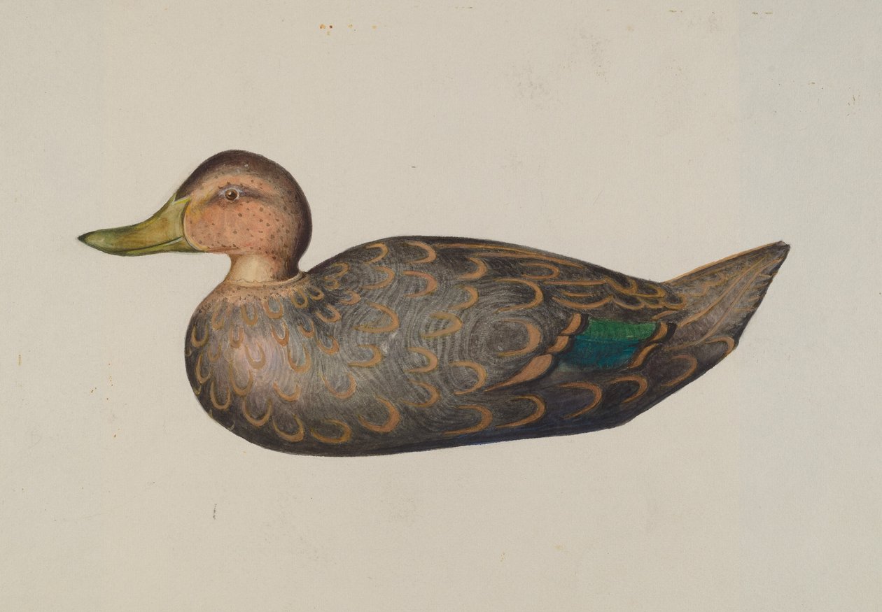 Canard Leurre - Harriette Gale