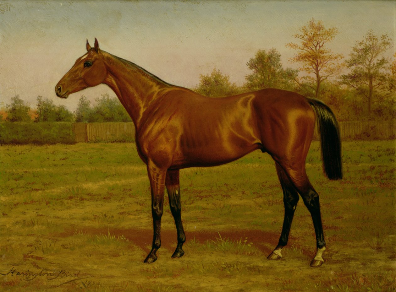 Isinglass, Triple Couronne, 1893 - Harrington Bird