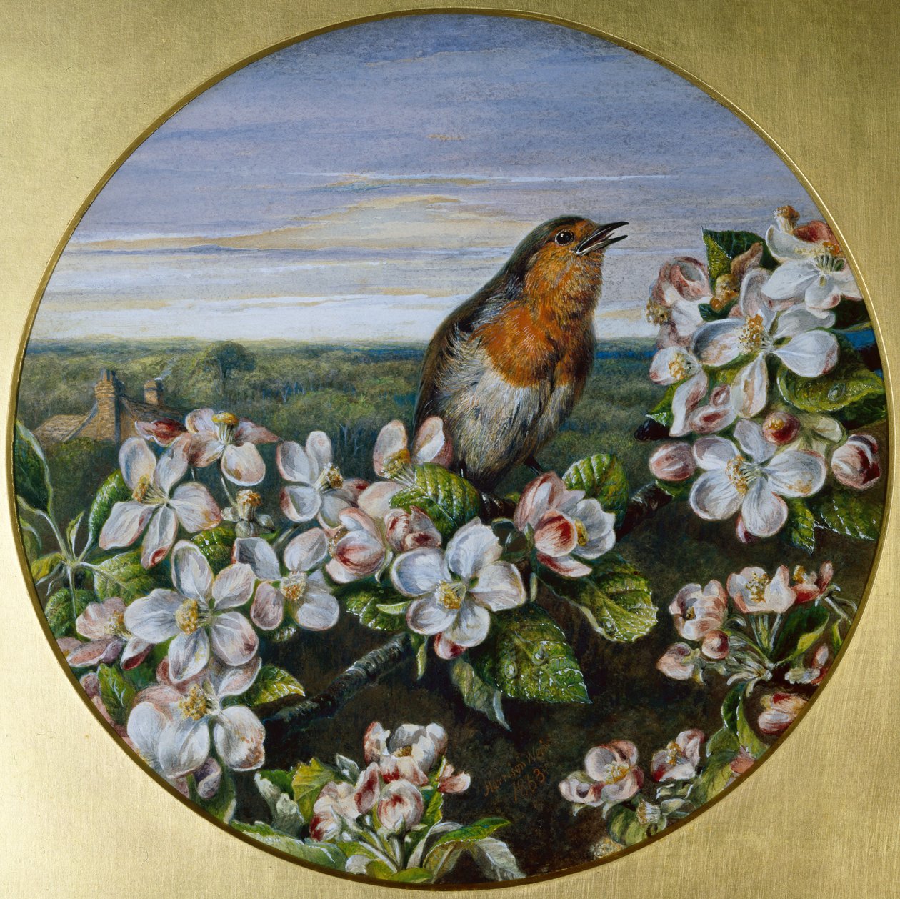 Un rouge-gorge parmi les fleurs - Harrison William Weir