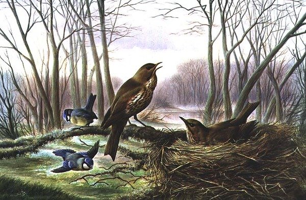 Le héraut du printemps - Harry Bright