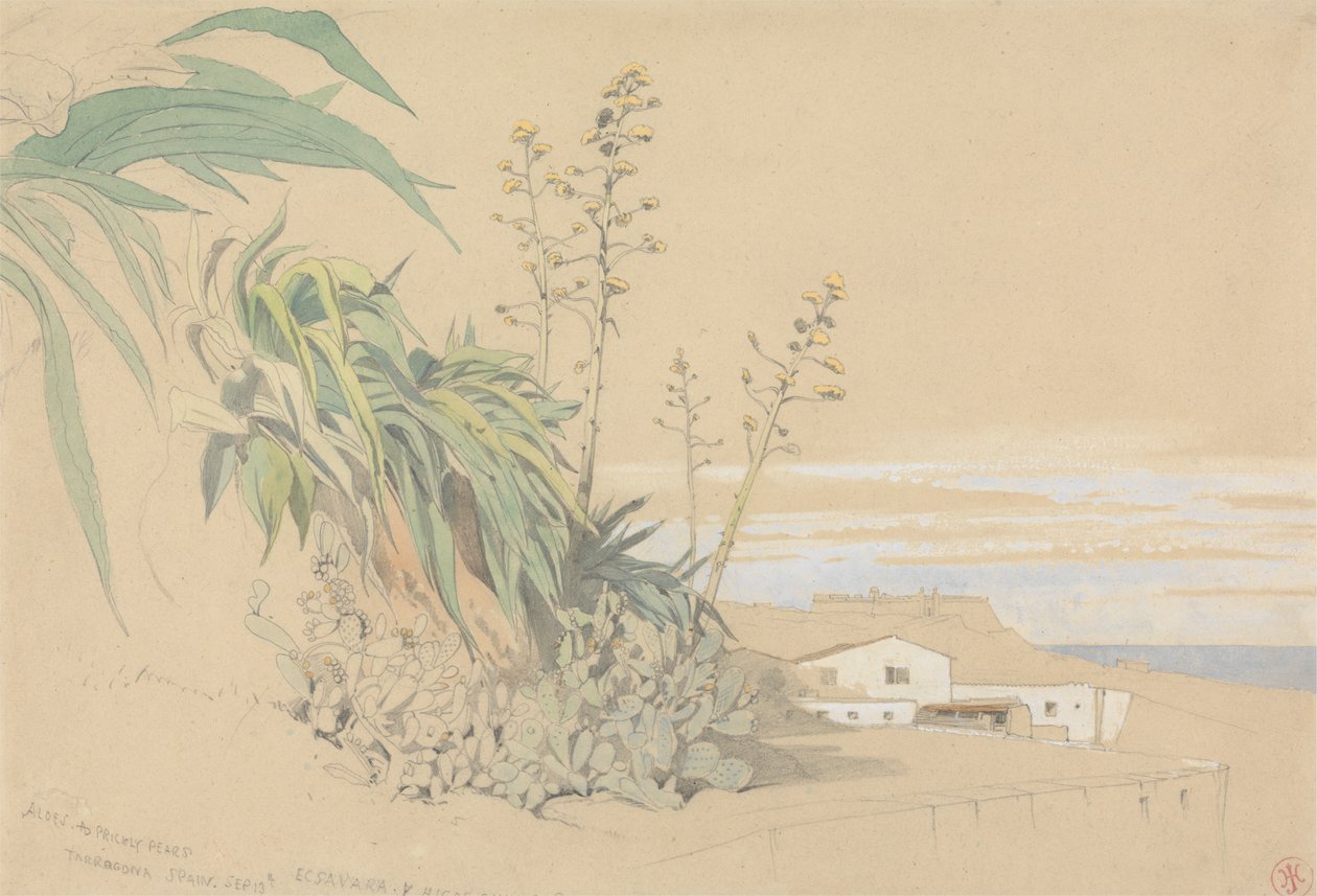 Aloès et figuiers de Barbarie, Tarragone, Espagne - Harry John Johnson