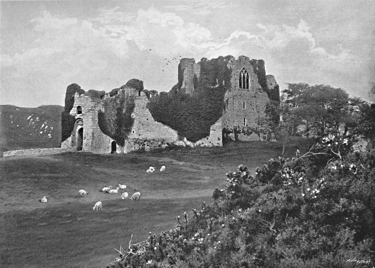 Château d