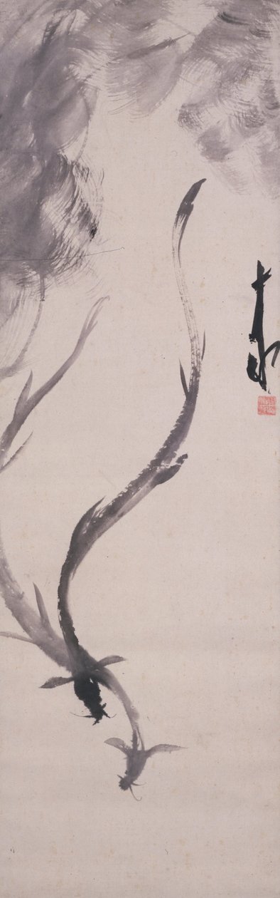 Anguilles - Hayashi Jikko
