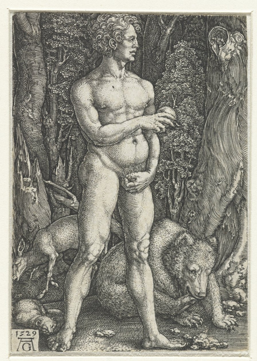 Adam - Heinrich Aldegrever
