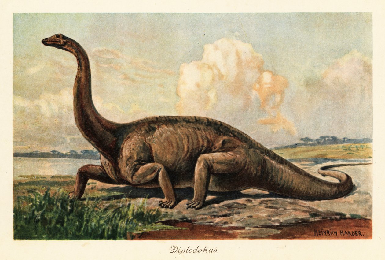 Diplodocus longus éteint sur les plaines - Heinrich Harder