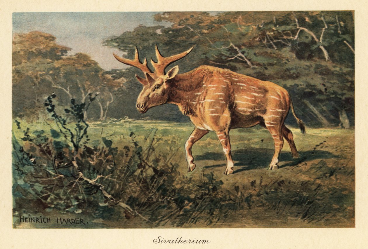 Sivatherium giganteum dans une clairière de la jungle - Heinrich Harder