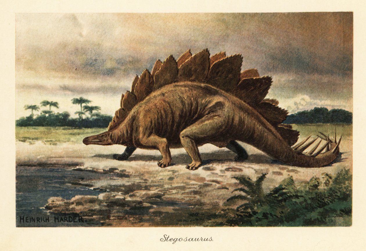 Stegosaurus armatus du Jurassique tardif - Heinrich Harder