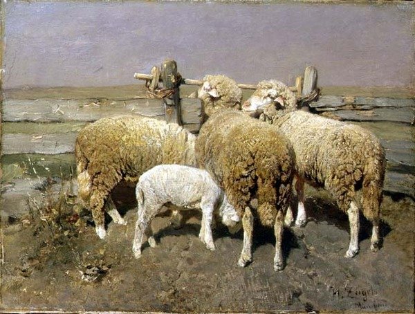Moutons dans un enclos - Heinrich Johann von Zugel