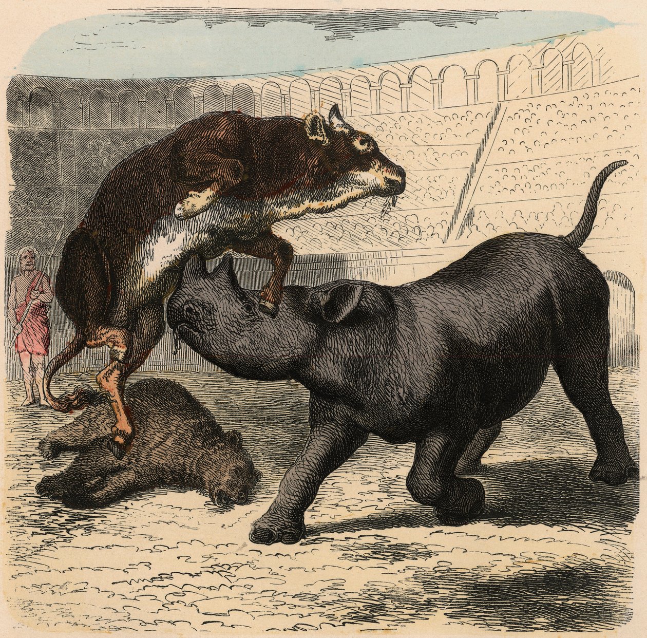 Rome antique : Animaux combattant dans l