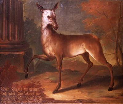 Un chevreuil - Heinrich Lihl