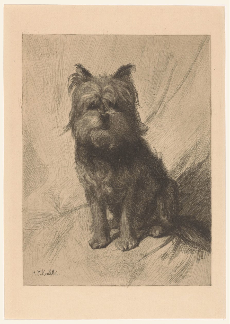 Chien hollandais - Heinrich M. Krabbé