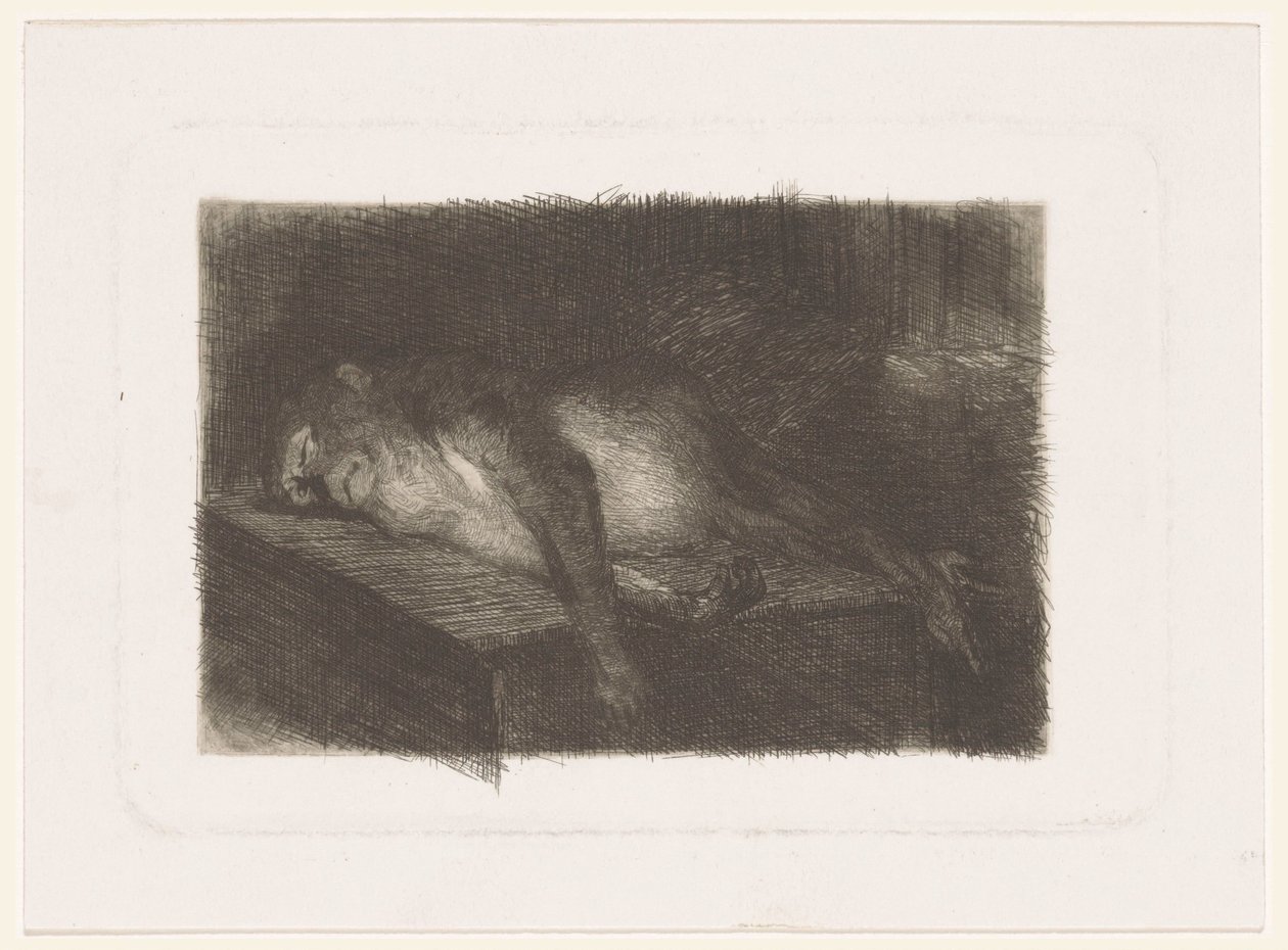Singe couché et endormi - Heinrich M. Krabbé