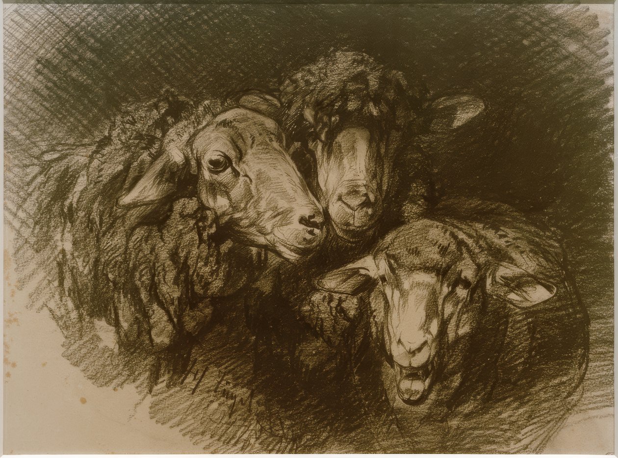 Moutons - Heinrich von Zügel