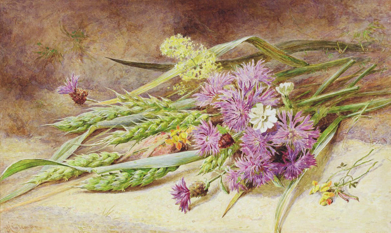 Blé vert et fleurs sauvages - Helen Cordelia Coleman Angell