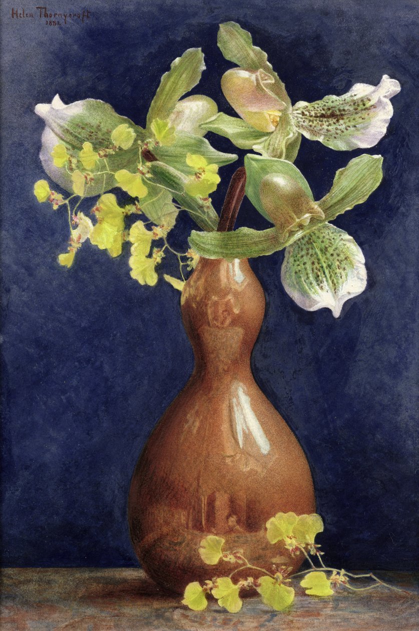 Orchidées dans un vase en cuivre, 1881 - Helen Thornycroft