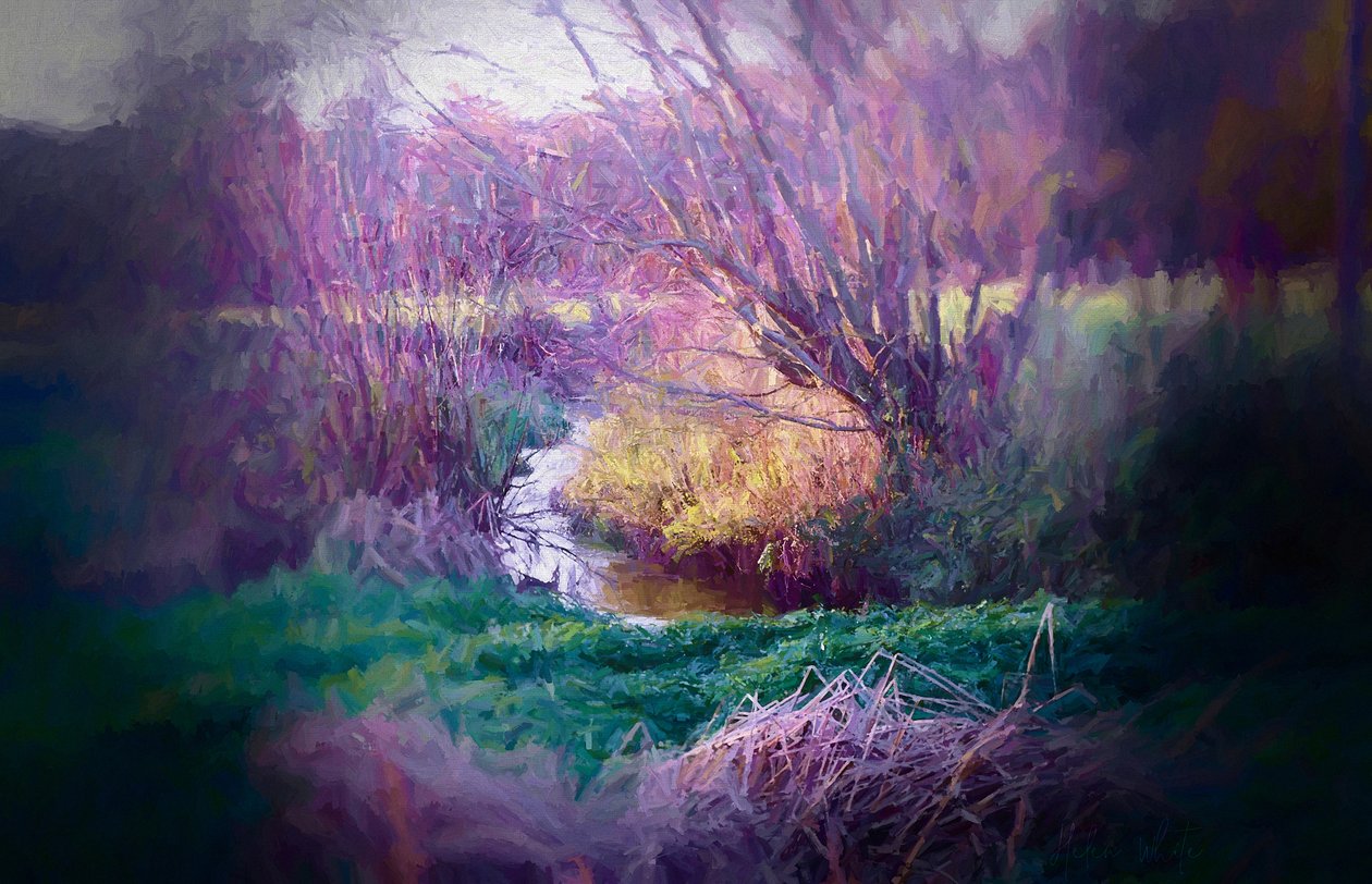 Courbe de la rivière - Helen White