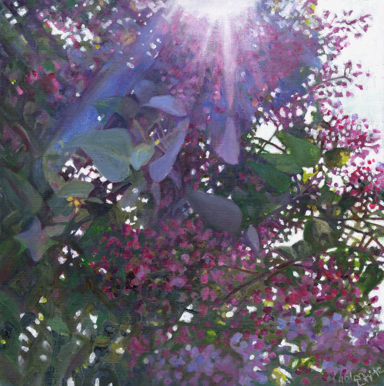Brilliance, 2014 - Helen White
