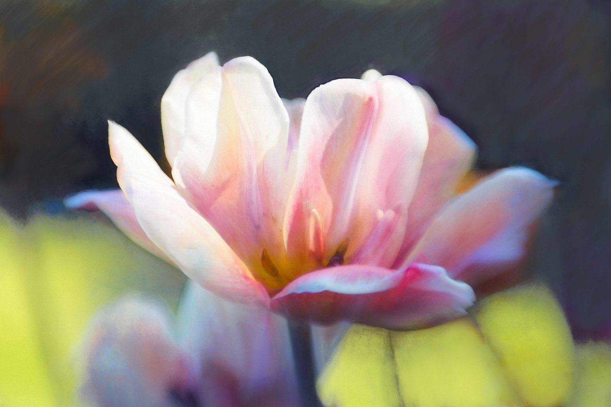 Émergence III - Helen White