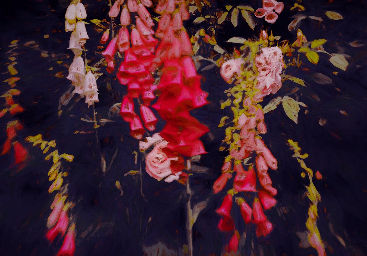 Même dans les endroits sombres - Helen White