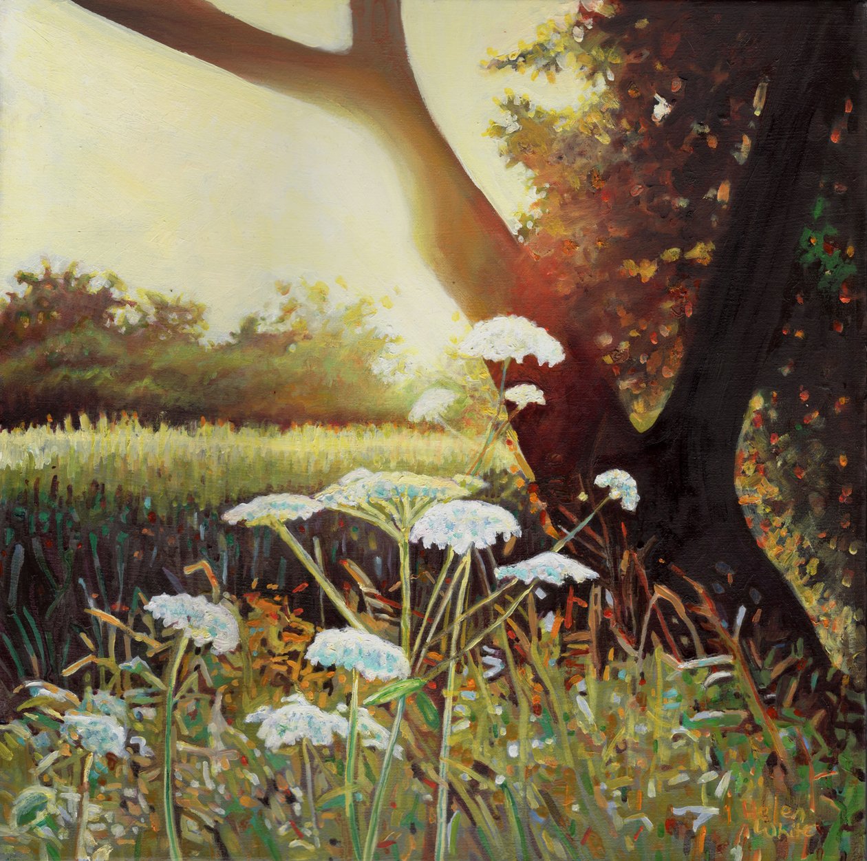 Haie dorée I, 2014 - Helen White
