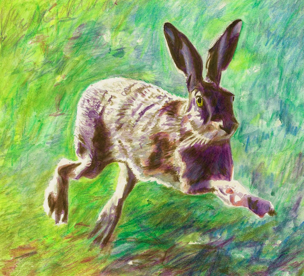 Lièvre joyeux, 2011 - Helen White