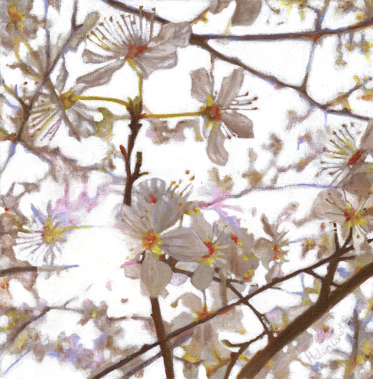 Prélude, 2014 - Helen White