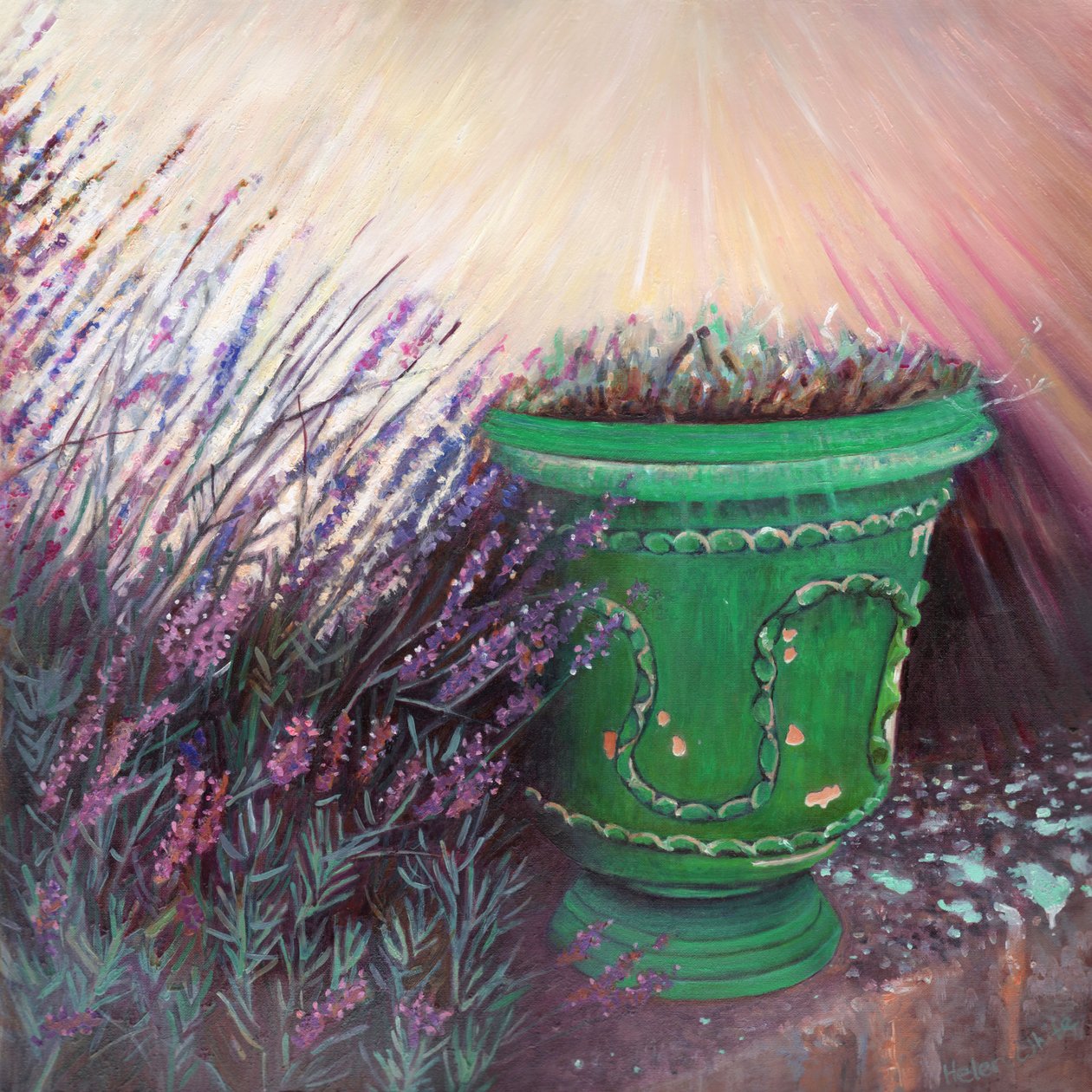 Jardin provençal II, 2014 - Helen White