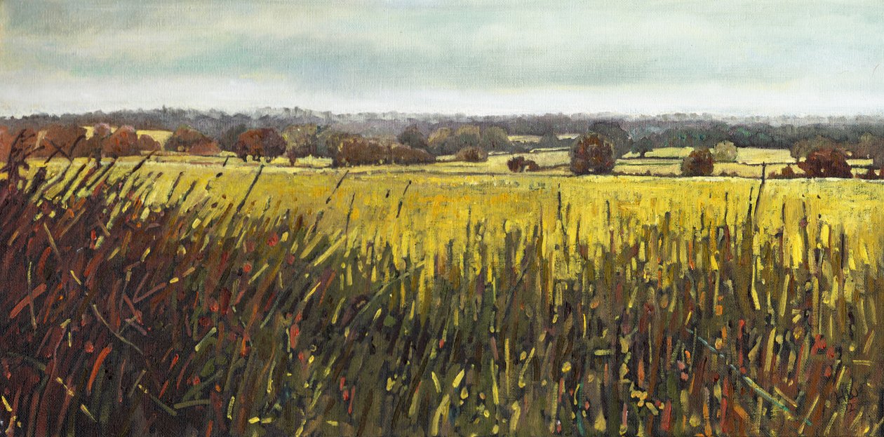 Vers Riseley, 2012 - Helen White