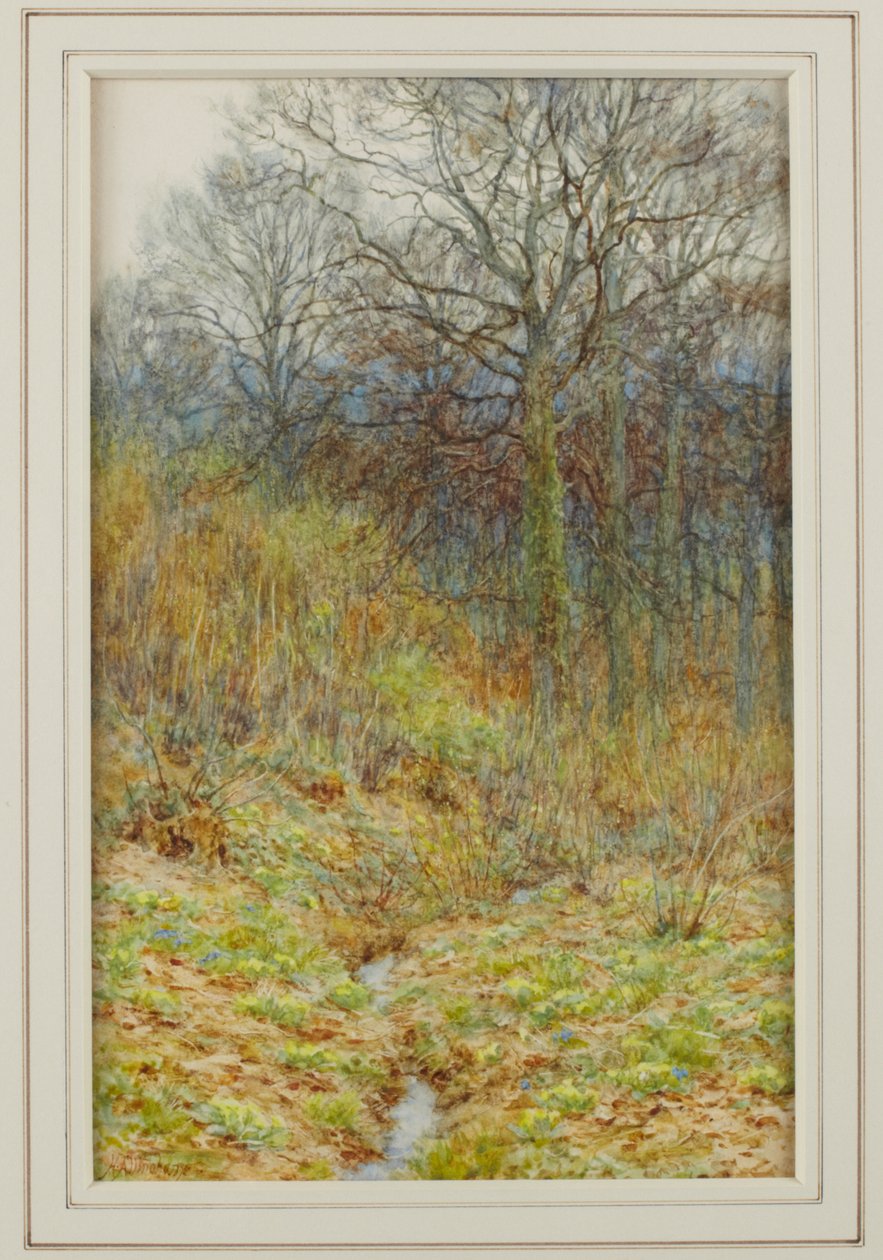 Notre bois de primevères - Helen Allingham