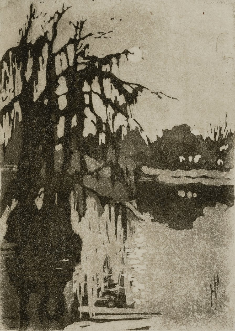 Arbres à cyprès - Helen Hyde