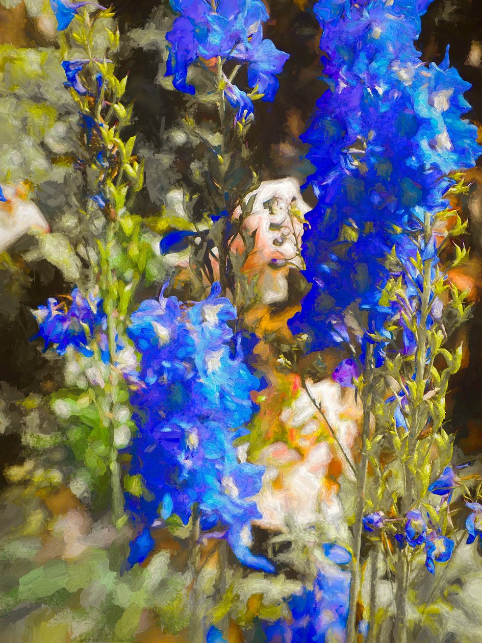 Delphiniums bleus, 2019 - Helen White